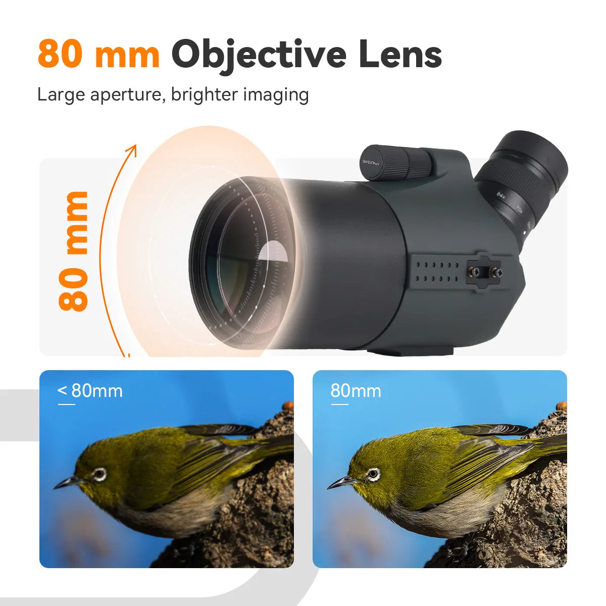 Sv41Pro 28-84X80 Mak Spotting Scope FMC Waterproof Camping Equipment for Bird Watching and Daily Observation